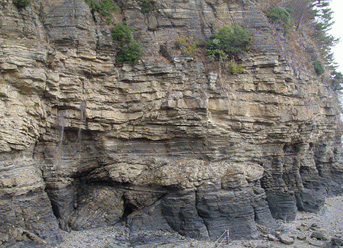 특별테마 땅_지반을 알게 하는 지질학(Geology)<BR>- 남한은 어떤 암석으로 구성되어 있나 II -