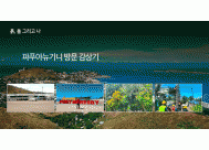 파푸아뉴기니 방문 감상기