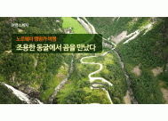 노르웨이 캠핑카 여행 : <BR>조용한 동굴에서 곰을 만났다